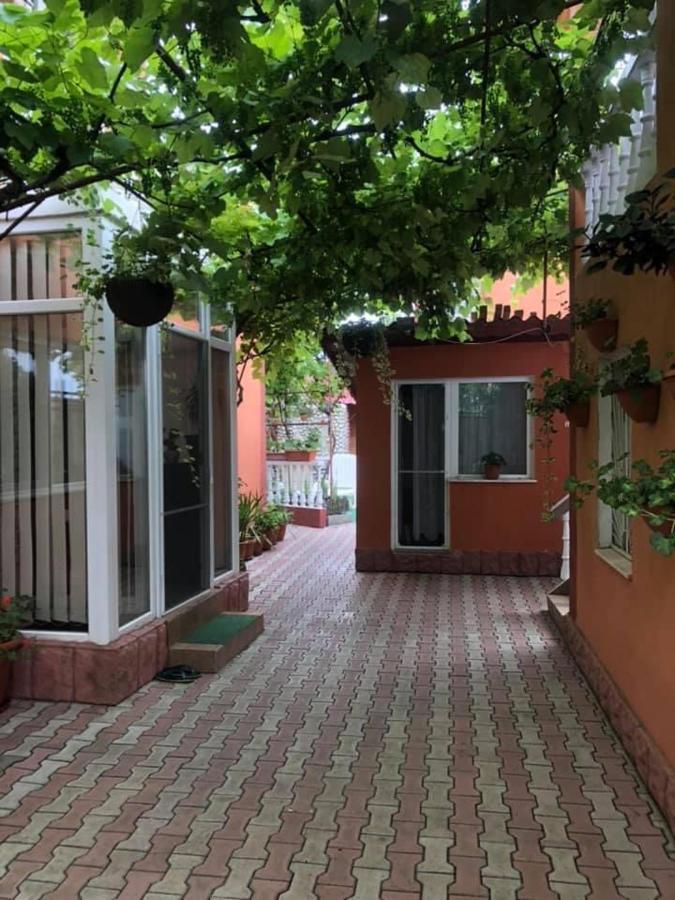 Vila Dana Ξενοδοχείο Agigea Εξωτερικό φωτογραφία